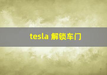 tesla 解锁车门